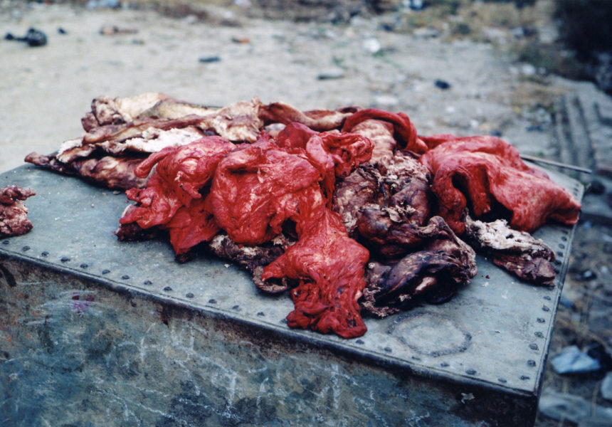 Meat, 2009, C-print, 52 X 78 cm, Edition of 5 + 2AP - © Vincent Delbrouck