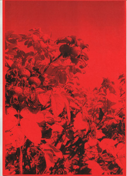 Red Dreams, 2015, Monochrome photocopy on color paper, 21 X 29,7 cm - © Vincent Delbrouck