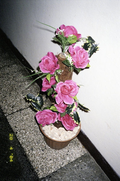 Roses, 2004, C-print, 32 X 48 cm, Edition of 3 + 2AP - © Vincent Delbrouck