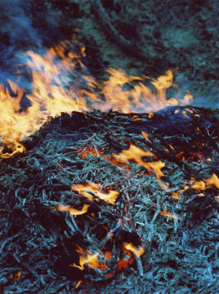 Fire, 2012, C-print, 57 X 76 cm, Edition of 3 + 2AP - © Vincent Delbrouck